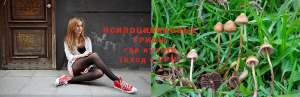 Альфа ПВП Новодвинск