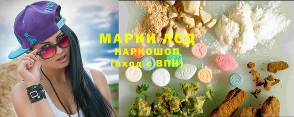 jwh Новозыбков